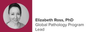 Expert-Elizabeth