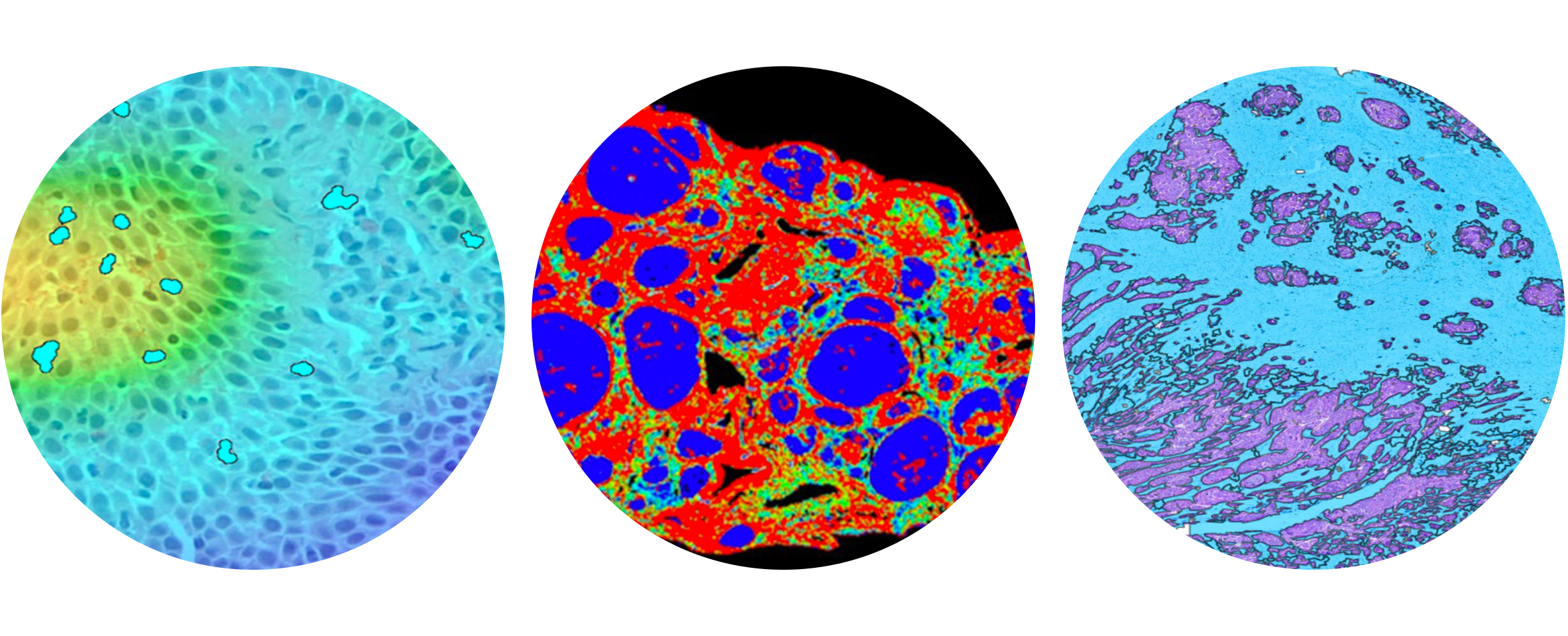 State-of-the-Art Digital Pathology