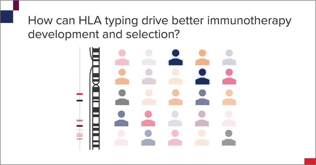 How can HLA typing drive better immunotherapy development and selection