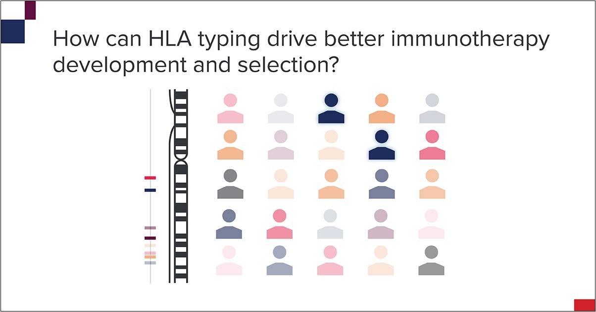 How HLA Typing Improves Immunotherapy Precision