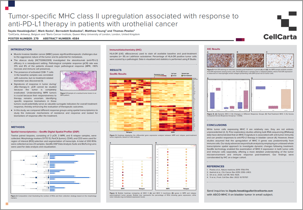 MHC Class II Upregulation Predicts Anti-PD-L1 Therapy Response in Urothelial Cancer