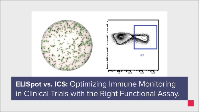 EliSpot vs ICS - Optimizing Immune Monitoring.