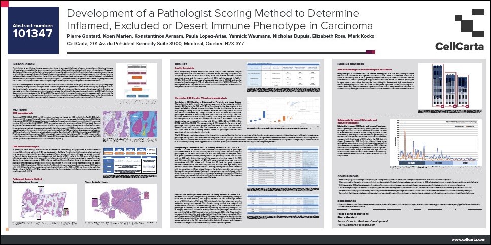 scoring metiodd to determine inflamed, excluded or desert Immune Phenotype in Carcinoma