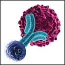7th Annual T Cell Engager Summit