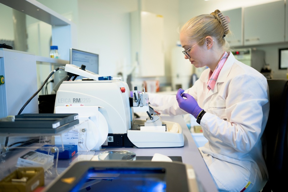 CDx development laboratory scientist