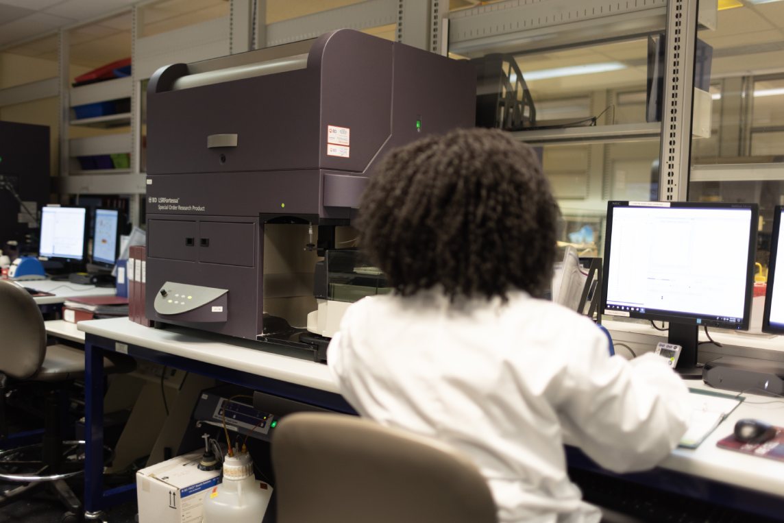 CFSE dye dilution assay tracking cell proliferation across divisions