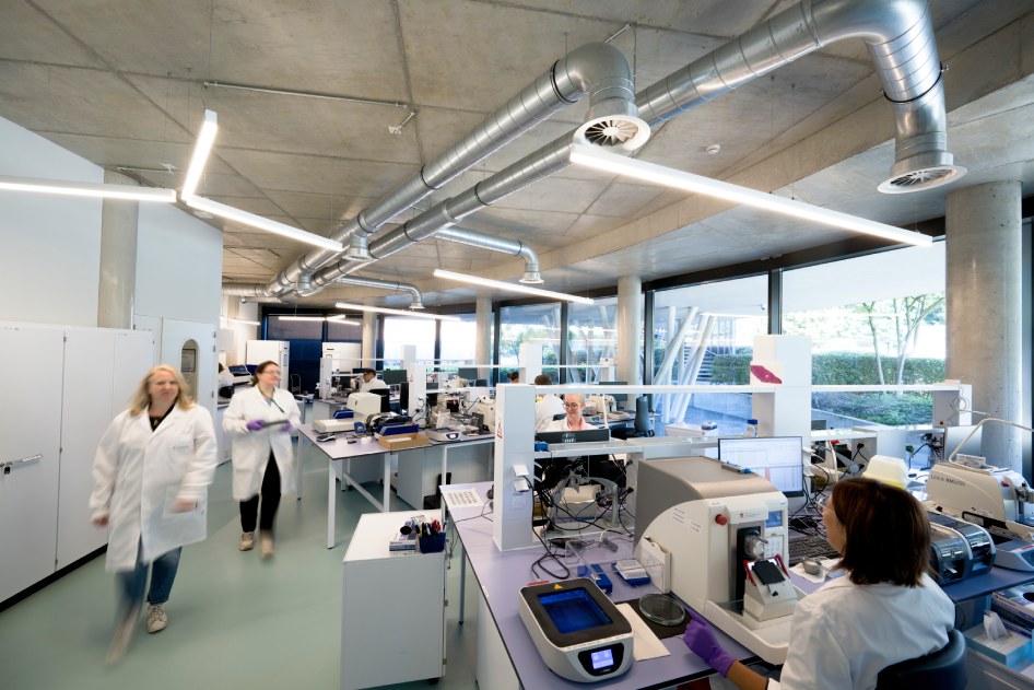 CellCarta capabilities laboratory services