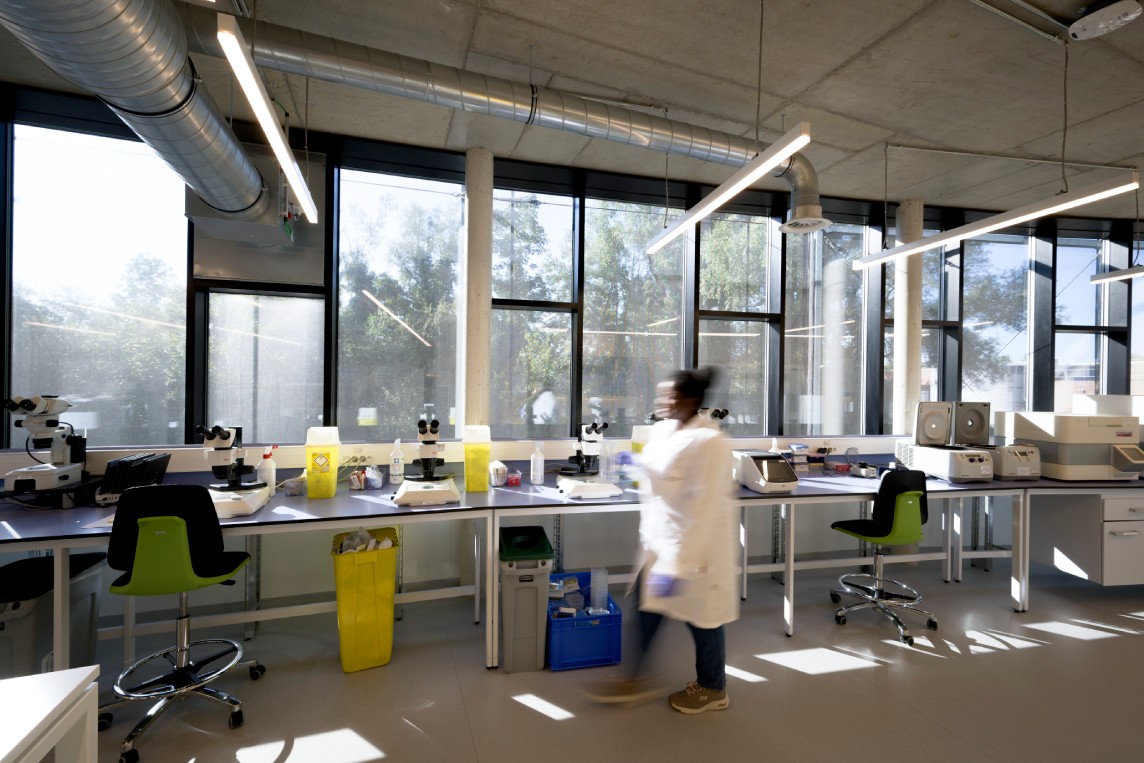 Scientists working in an open laboratory.