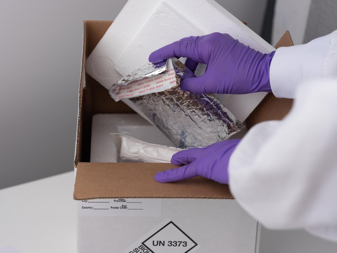 Gloved hands packing samples into a shipping box.