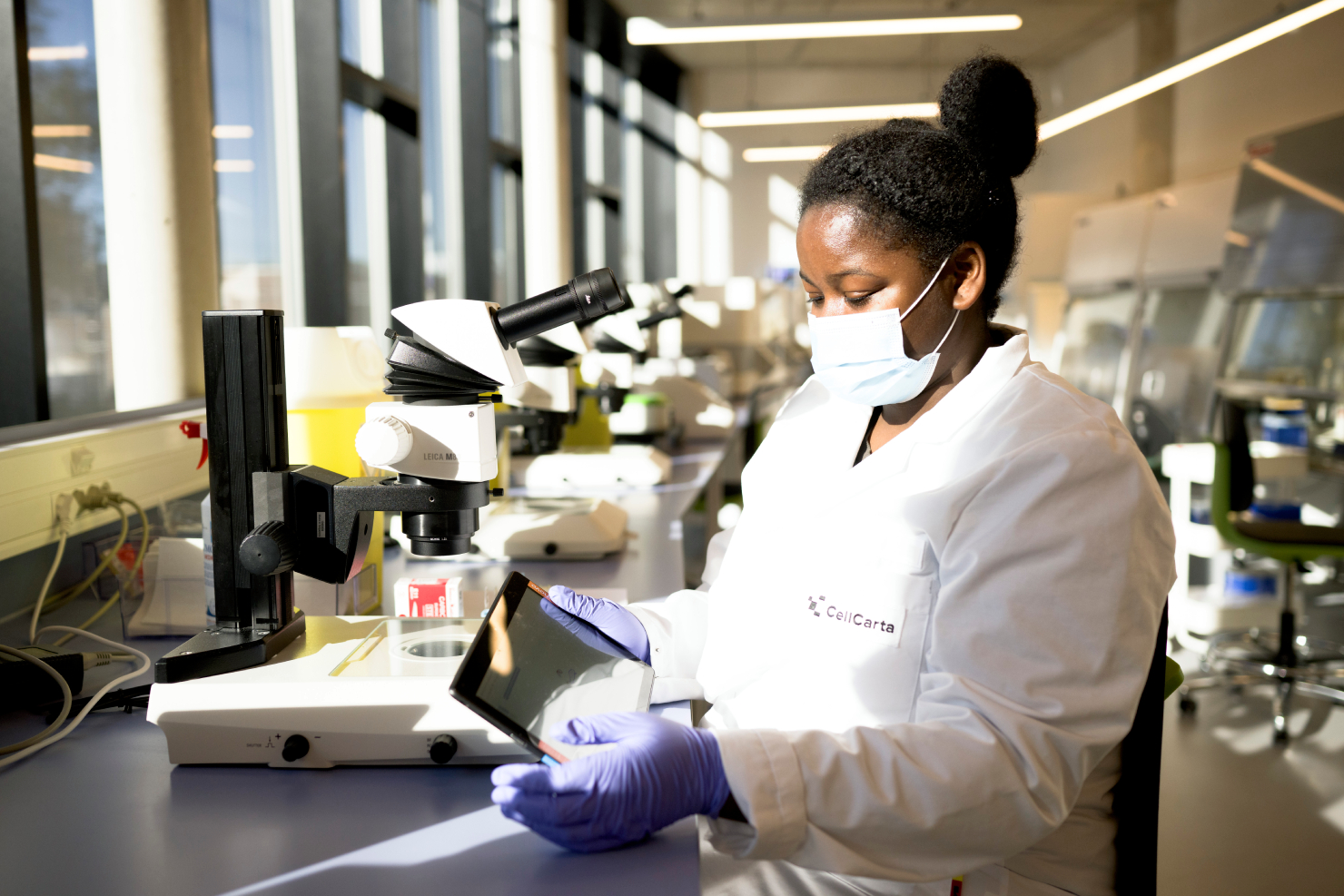 ISH assay technology platforms at CellCarta