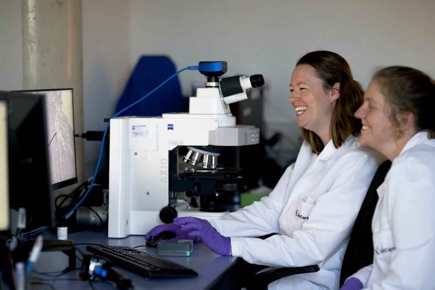 Digital pathology spatial analysis
