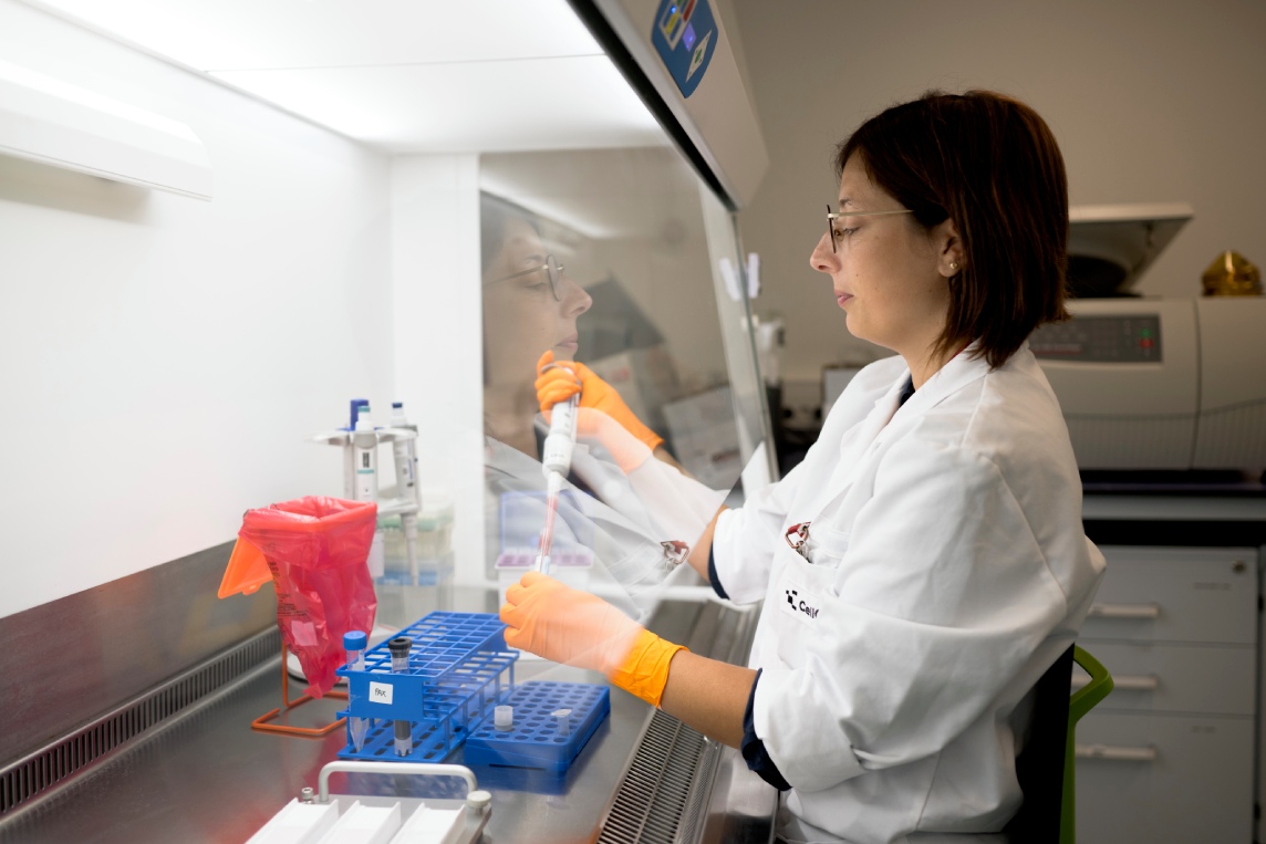 Scientist pipetting samples in a biosafety cabinet.