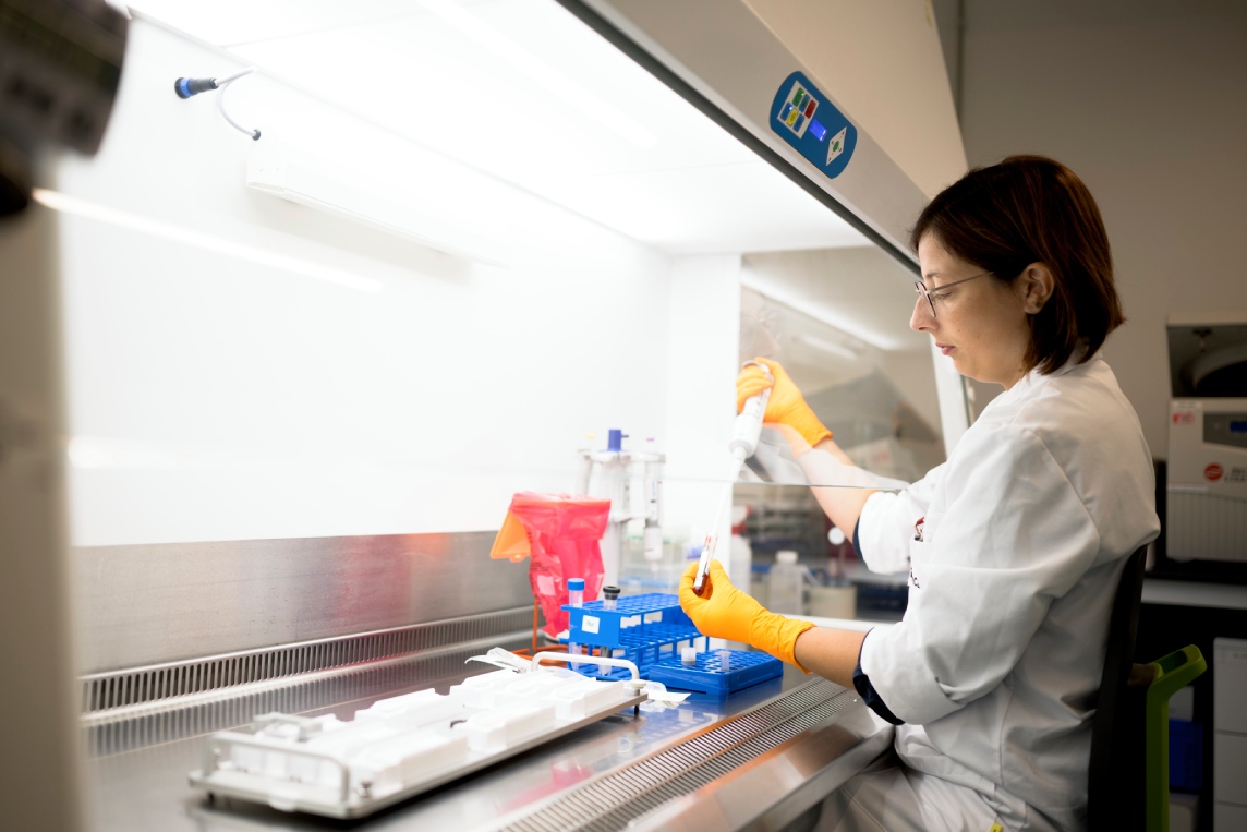 Scientist customizing ELISA assay in laboratory