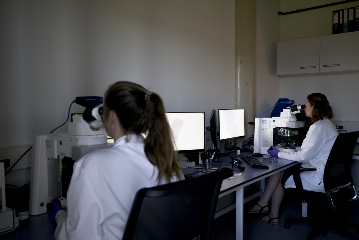 Scientists reviewing digital whole slide images on large monitors in a CellCarta digital pathology imaging laboratory