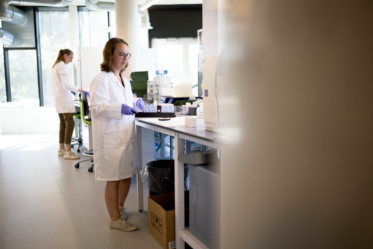 CellCarta immunology scientist reviewing assay data