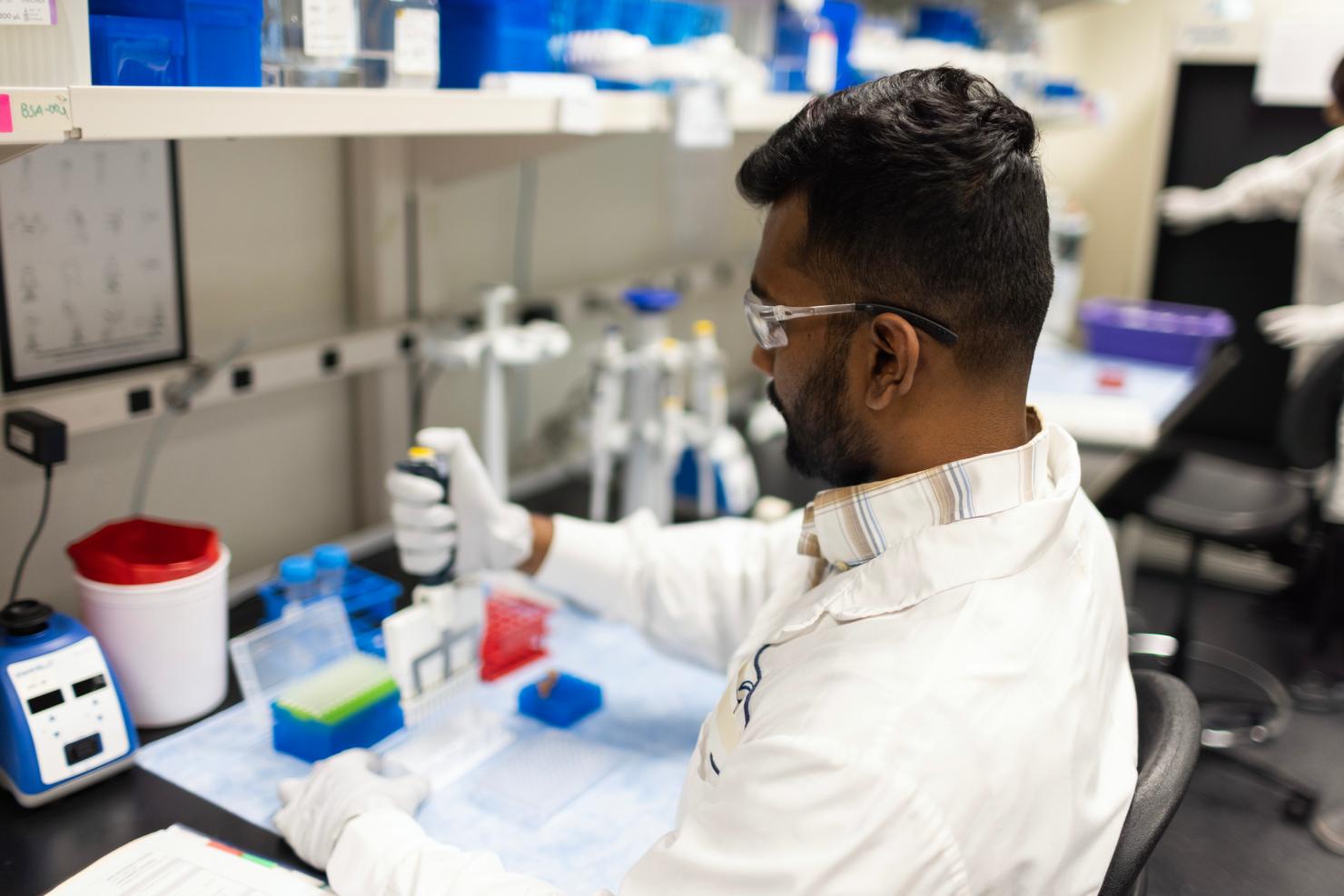 Scientist using a multichannel pipette at a laboratory bench.