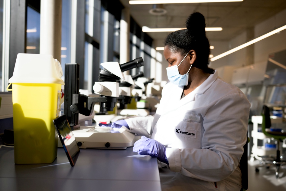 Scientists examining samples at microscopes in the laboratory.