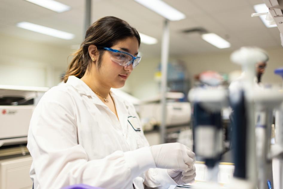 Scientist pipetting samples at the bench.