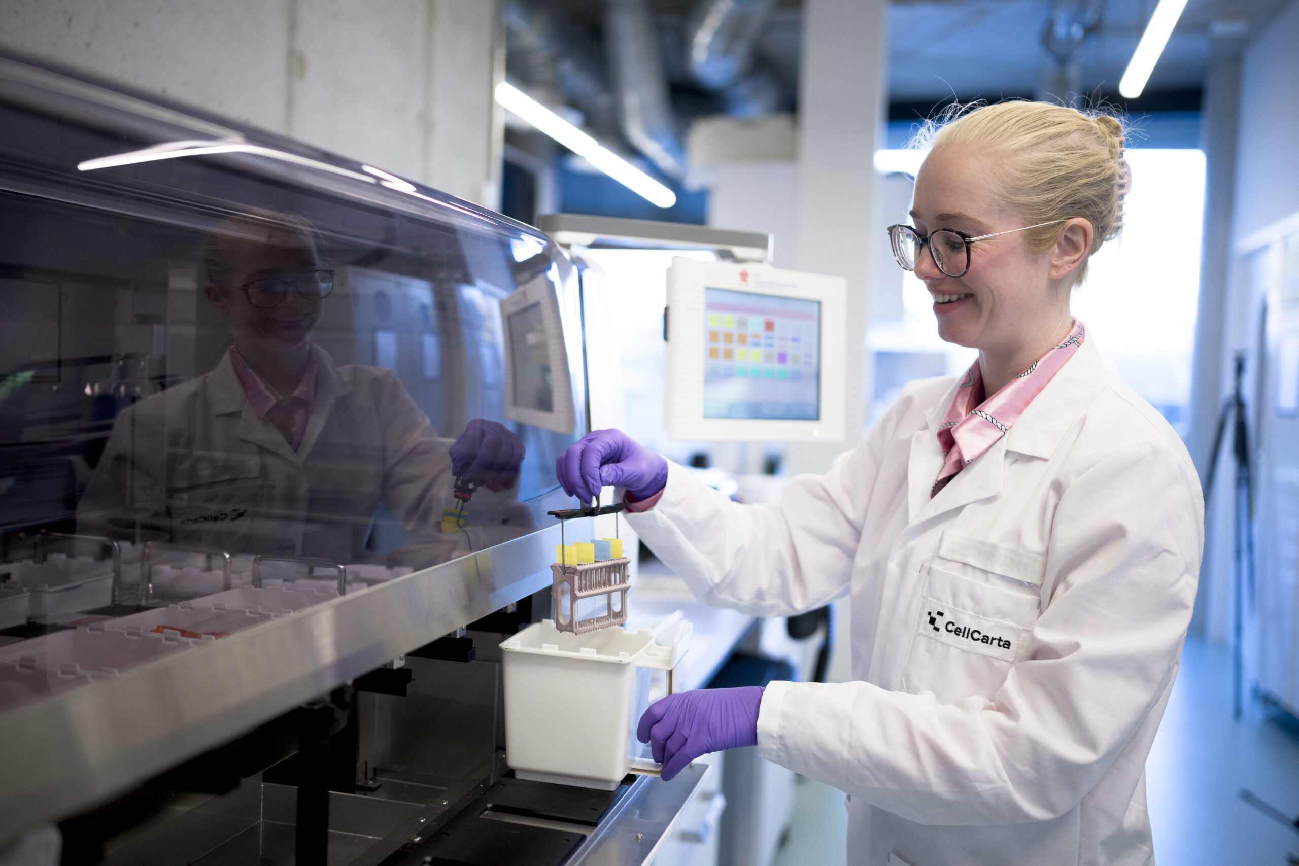 Scientist working at a laboratory hood.