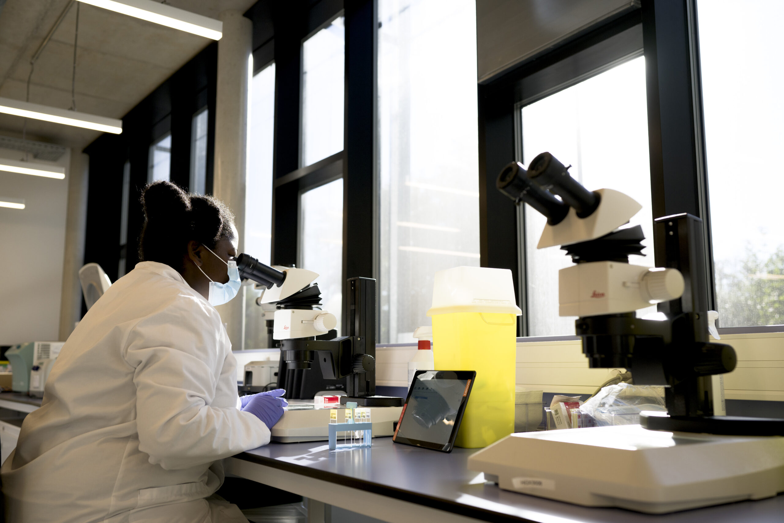A scientist examining samples at microscopes in the laboratory.