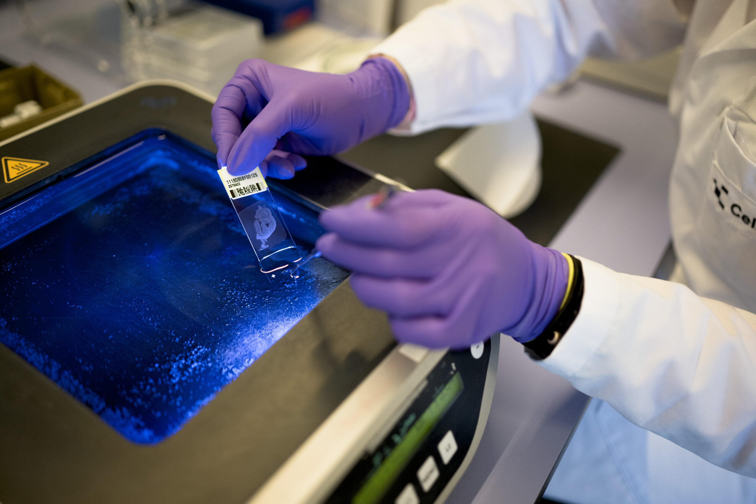 Histopathology scientist loading tissue slides onto an automated staining instrument in a CellCarta laboratory
