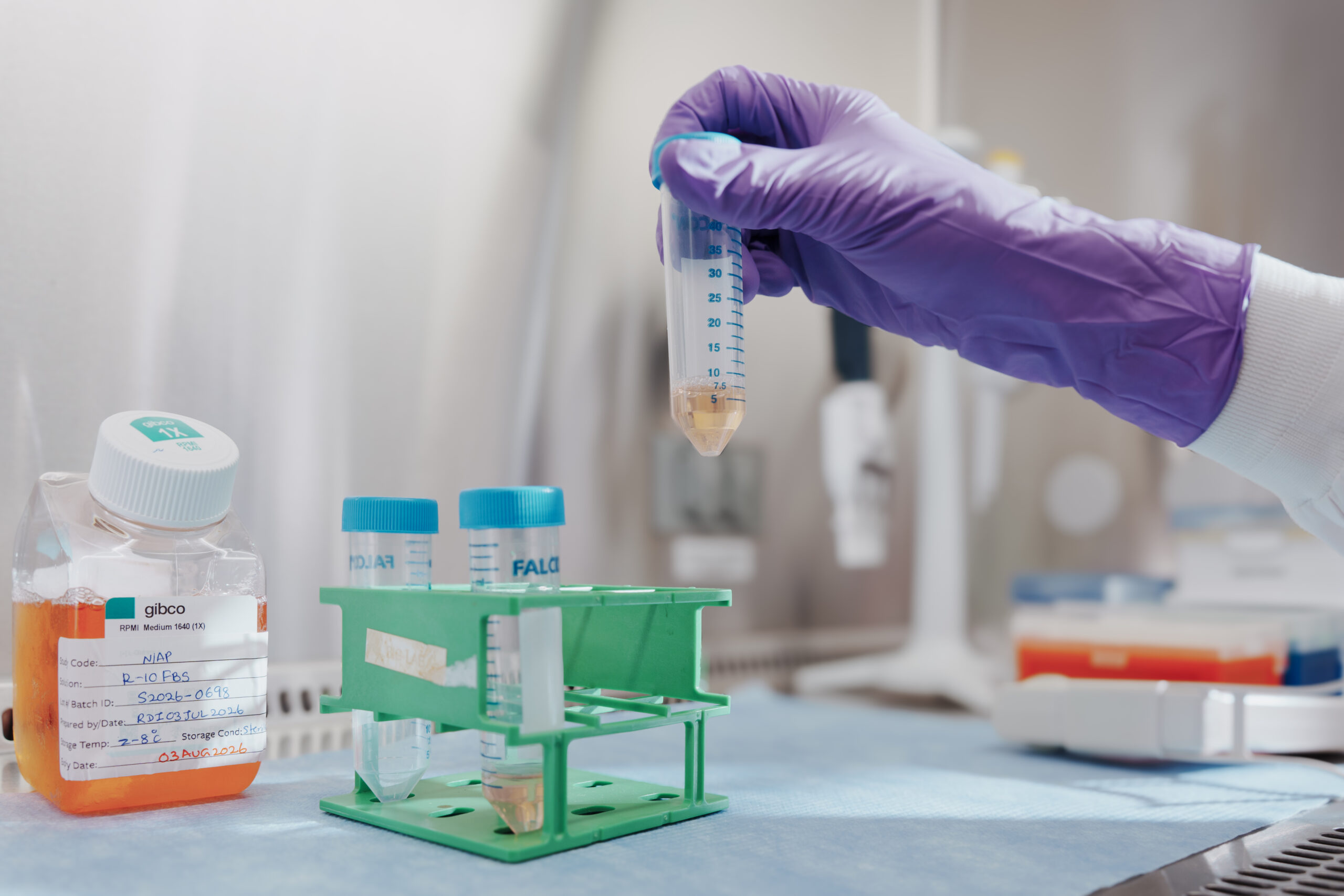 Gloved hands processing samples in a biosafety cabinet.