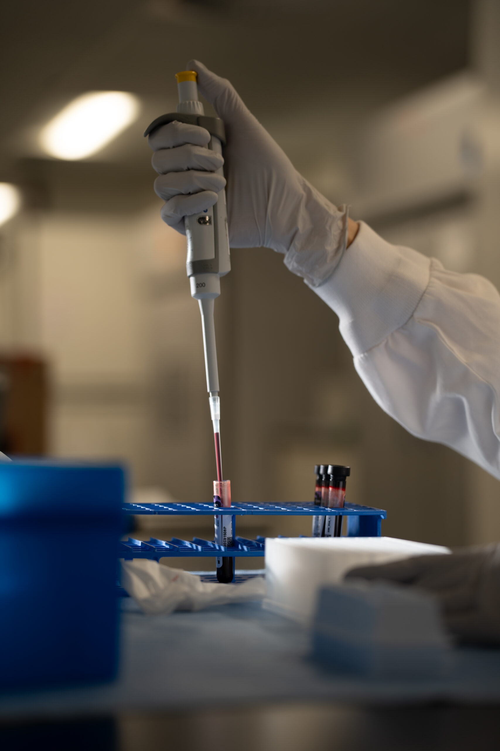 Gloved hand pipetting a sample in the laboratory.
