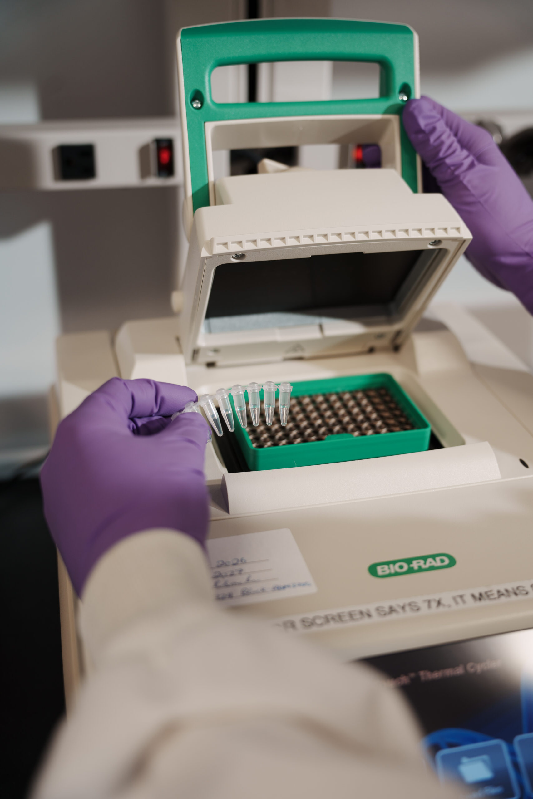 Gloved hands loading qPCR samples into a benchtop thermal cycler.