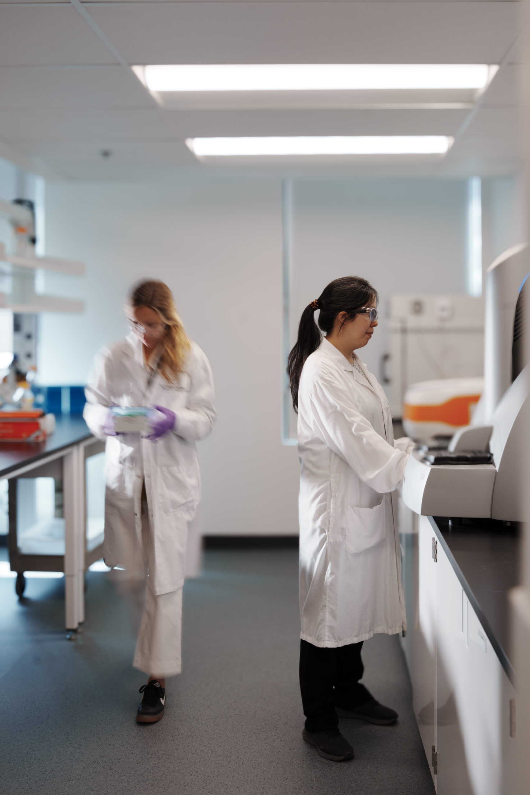 Two scientists working in the laboratory.