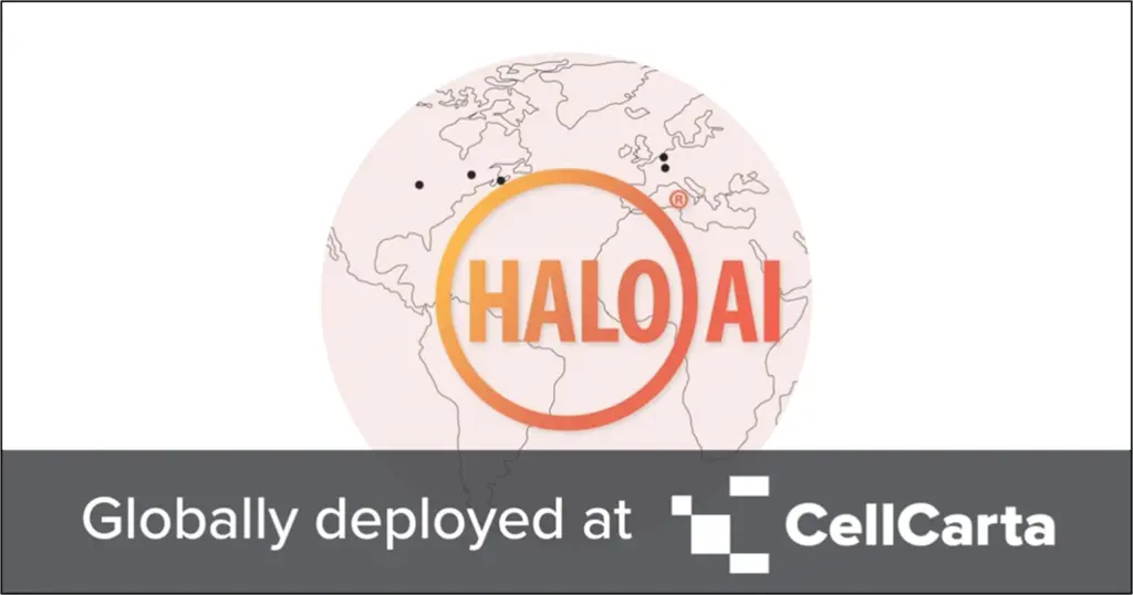 Halo AI WP 1024x538