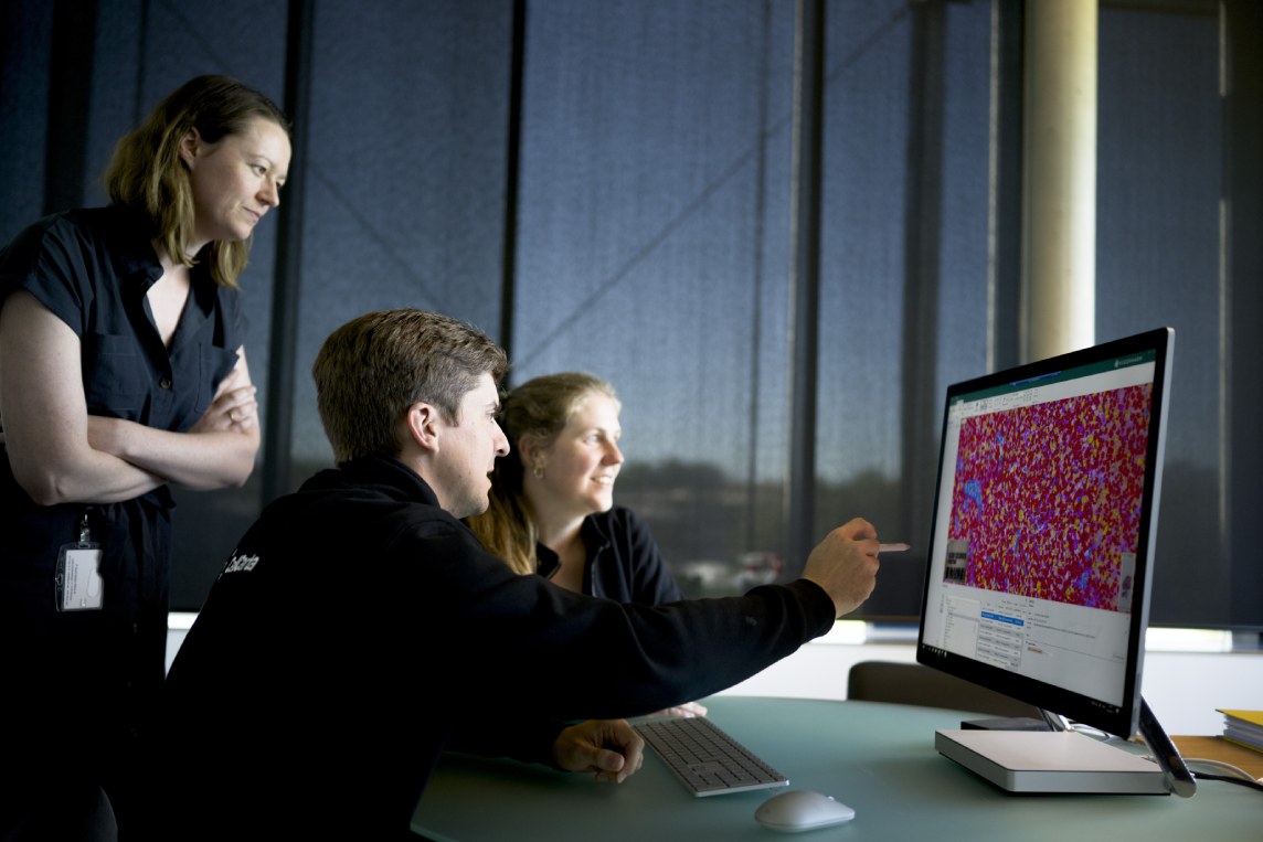 Histopathology multiplexed IHC immunofluorescence digital pathology AI-assisted analysis