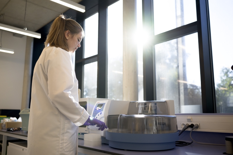 Influenza vaccine immunogenicity cellular humoral immune response