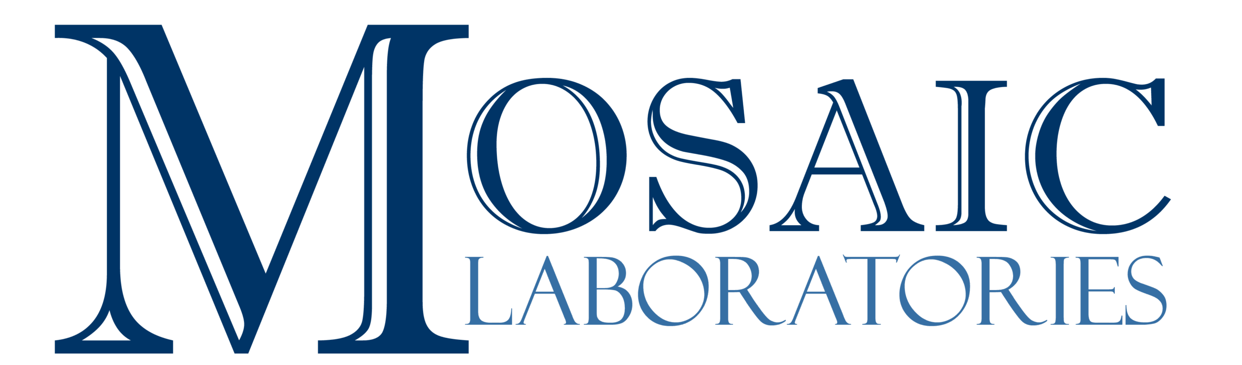 Mosaic Logo Update