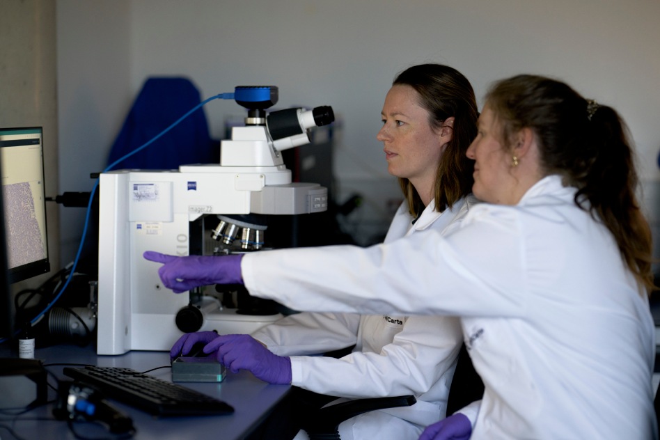 Two scientists examining a sample at a microscope.