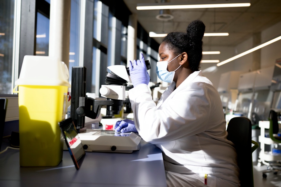 Scientist processing samples at the bench.