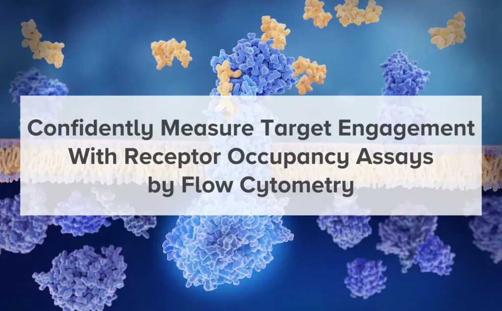 Receptor Occupancy Assays 1024x635