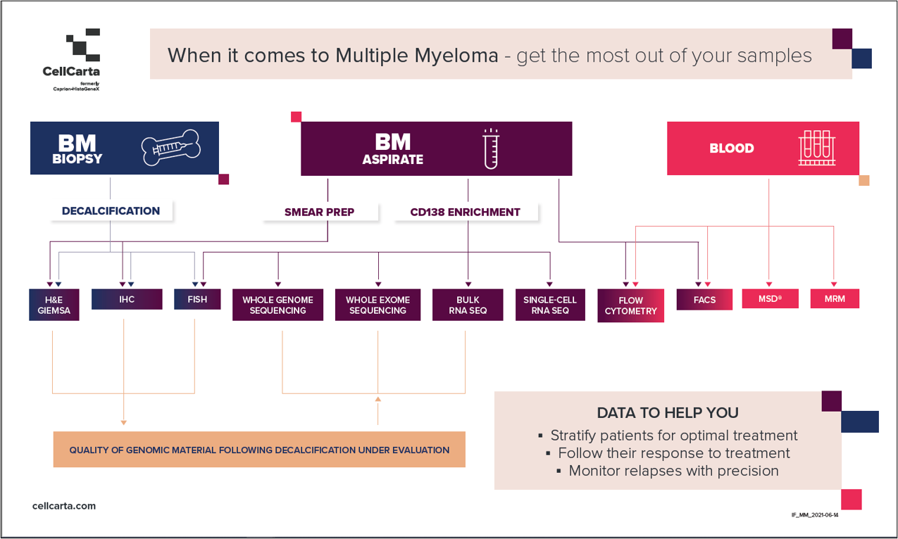 Multiple myeloma infographic