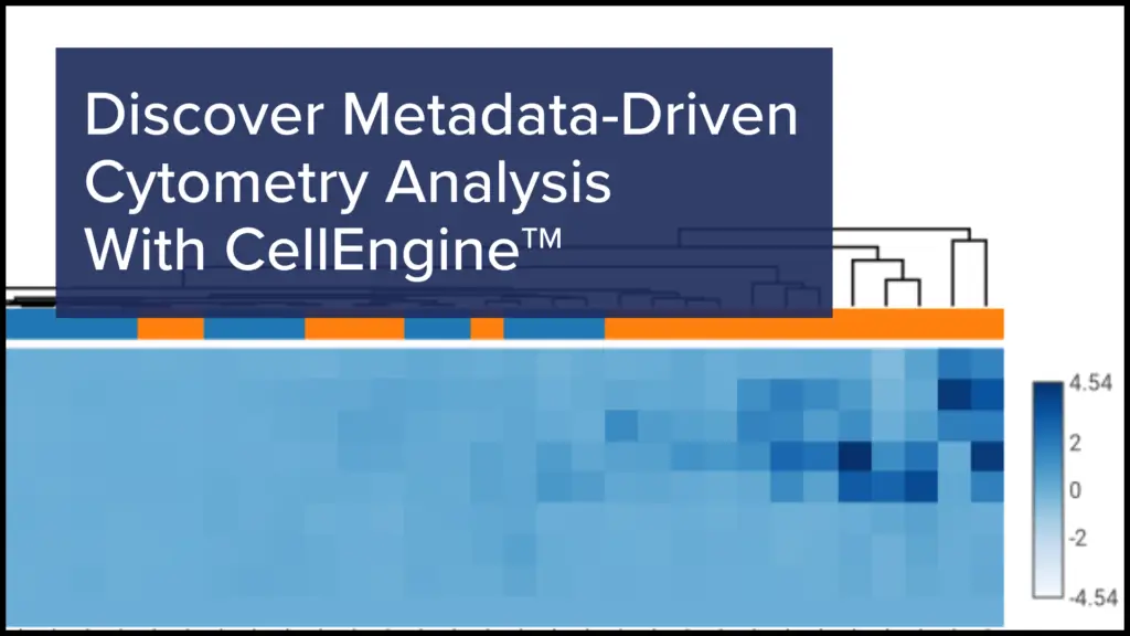Metadata Cytometry Analysis